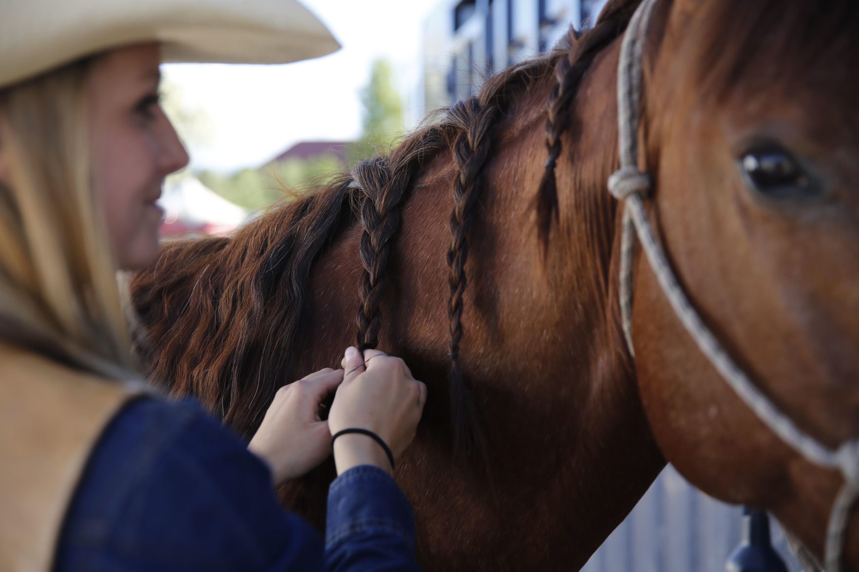 CNFR Wednesday